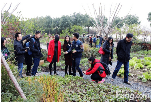 微信截图_20151228145923.png 正荣集团“你好社区”苏州首发正荣国领