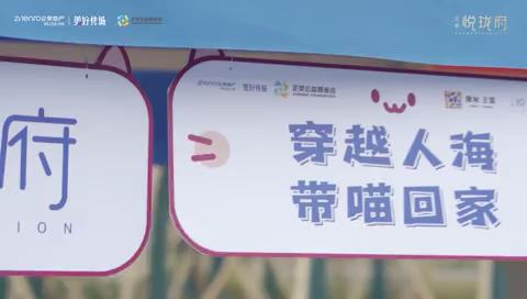 【有光青年为猫安家】猫咪市集