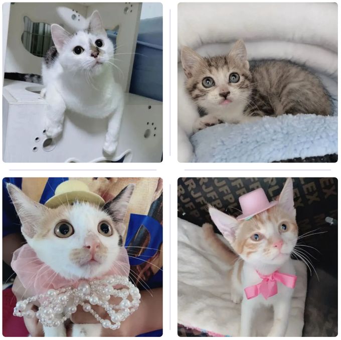 WX20210104-203727@2x_结果.jpg WX20210104-203727@2x_结果.jpg