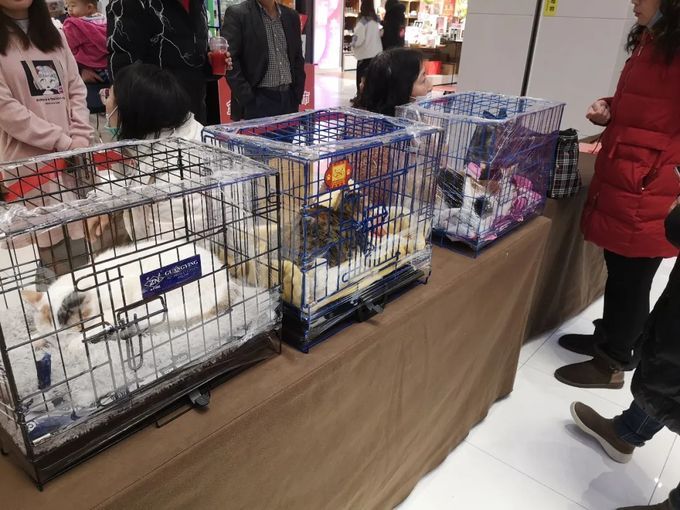 640 (1)_结果_1.jpg