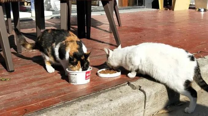 640 (2)_结果.jpg 640 (2)_结果.jpg