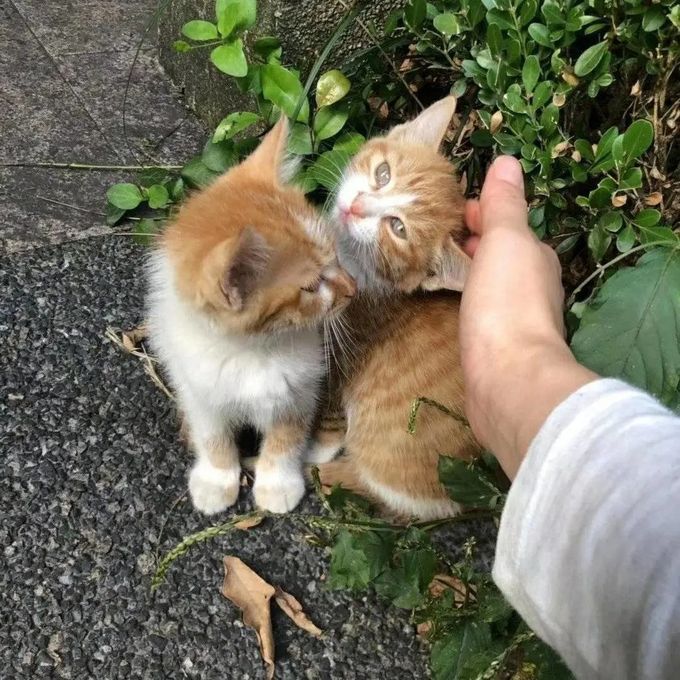 640 (3)_结果.jpg 640 (3)_结果.jpg