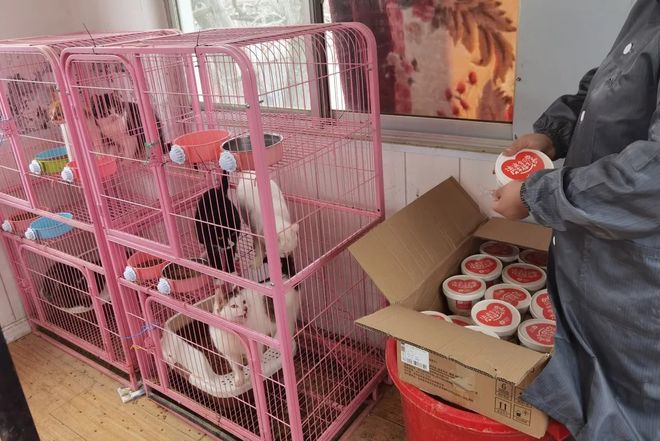 640 (1)_结果_1.jpg