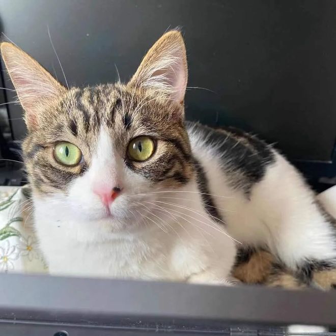 image04.jpg image04.jpg