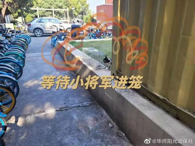 image19.jpg image19.jpg