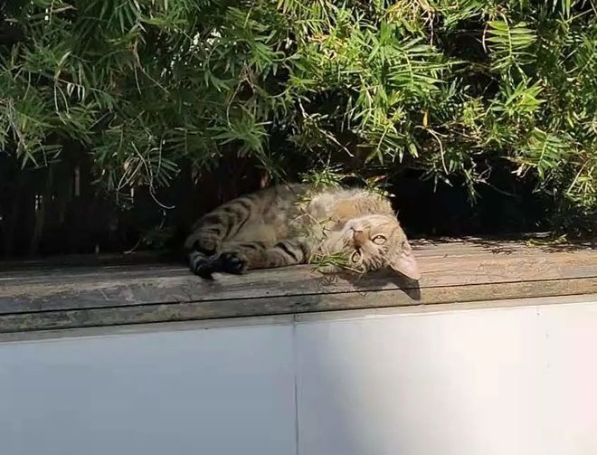 image14.jpg image14.jpg