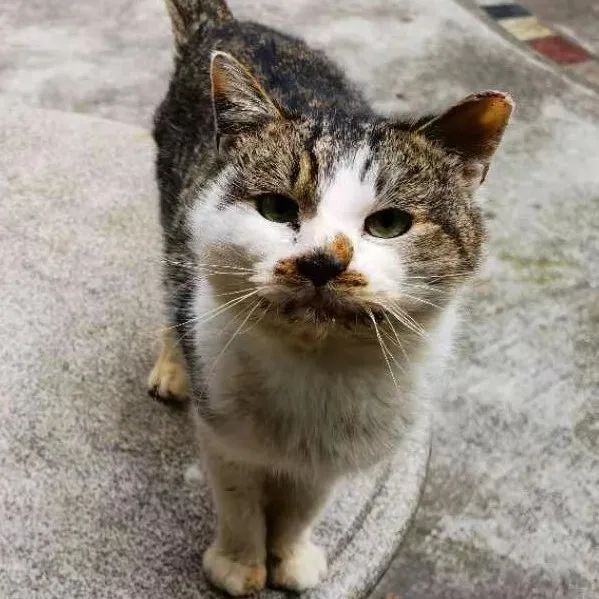 image02.jpg image02.jpg