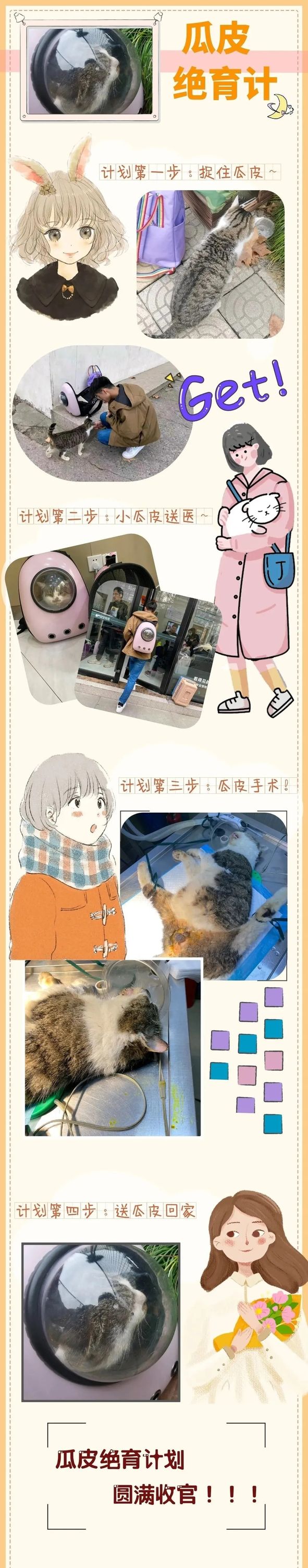 image07.jpg image07.jpg