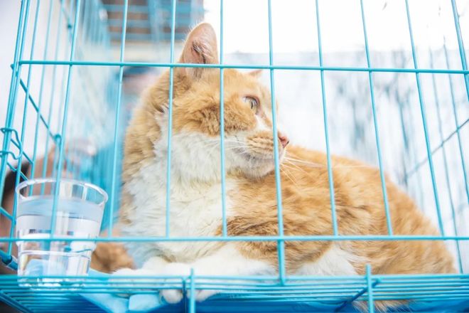 640 (4)_结果.jpg 640 (4)_结果.jpg