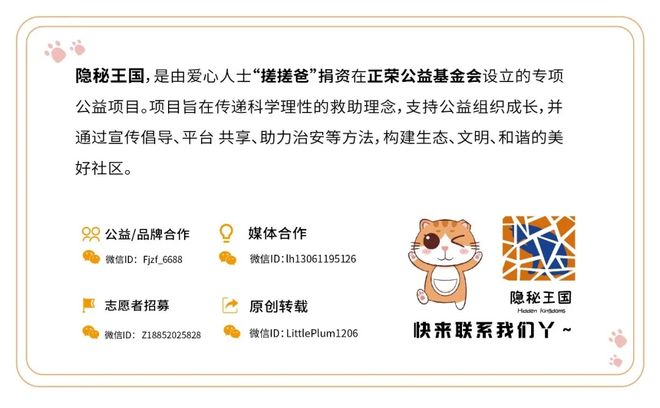 640 (6)_结果.jpg 640 (6)_结果.jpg