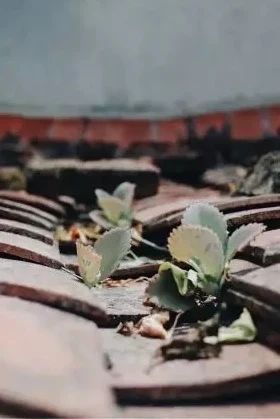 image02.jpg image02.jpg