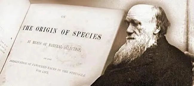 DM_20210524202529_006_结果.jpg DM_20210524202529_006_结果.jpg