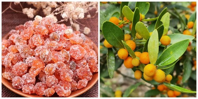 DM_20210531230214_003_1.jpg DM_20210531230214_003_1.jpg