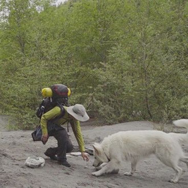 DM_20210705210440_011_1.jpg DM_20210705210440_011_1.jpg