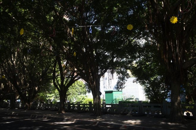 DM_20210723211837_027_结果.jpg DM_20210723211837_027_结果.jpg