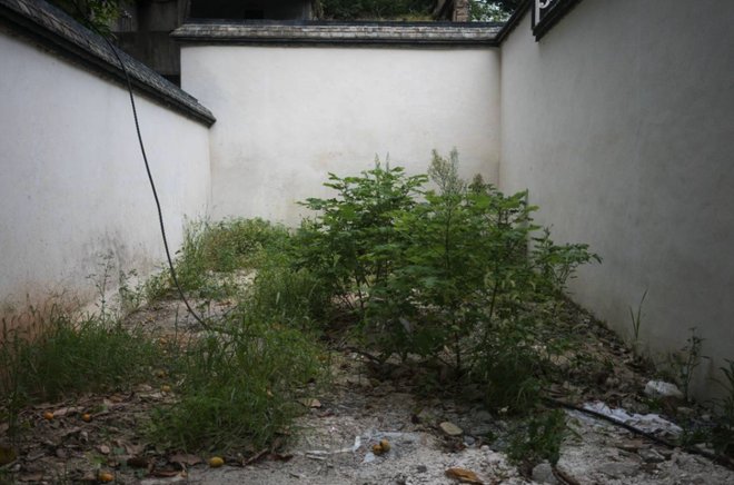 DM_20210723211837_001_结果.jpg DM_20210723211837_001_结果.jpg