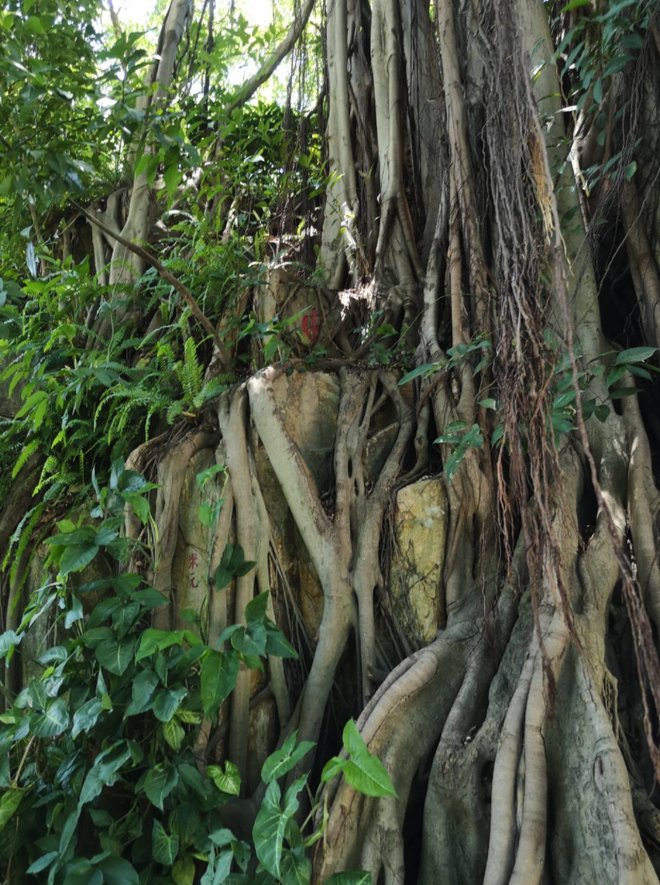 DM_20210723211837_002_结果.jpg DM_20210723211837_002_结果.jpg