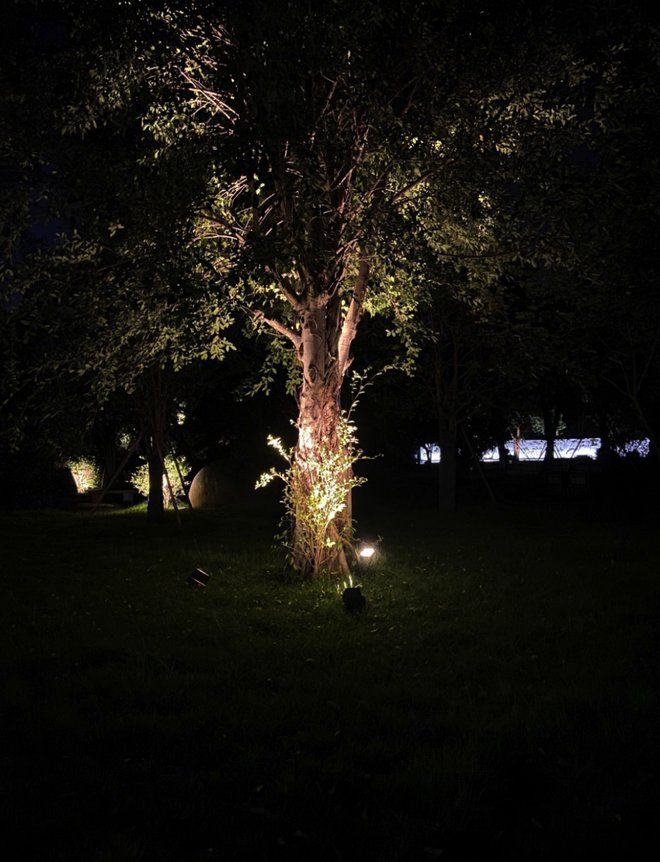 DM_20210723211837_004_结果.jpg DM_20210723211837_004_结果.jpg