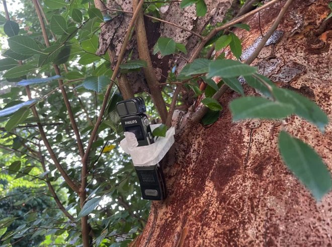 DM_20210723211837_005_结果.jpg DM_20210723211837_005_结果.jpg