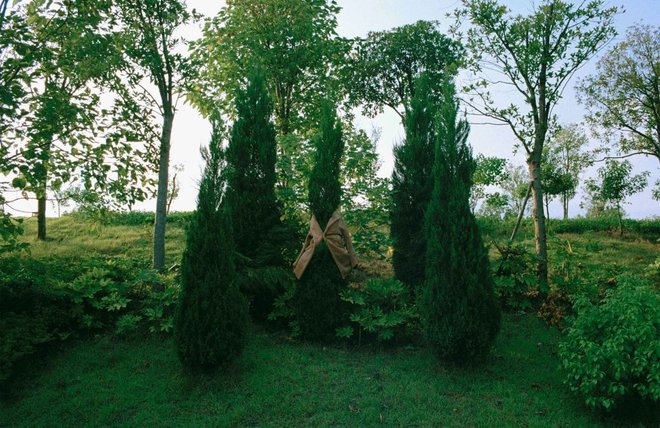 DM_20210830212058_004_结果.jpg DM_20210830212058_004_结果.jpg