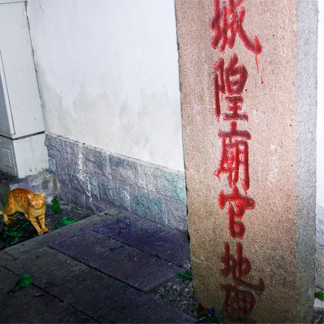 pic_018_结果.jpg pic_018_结果.jpg