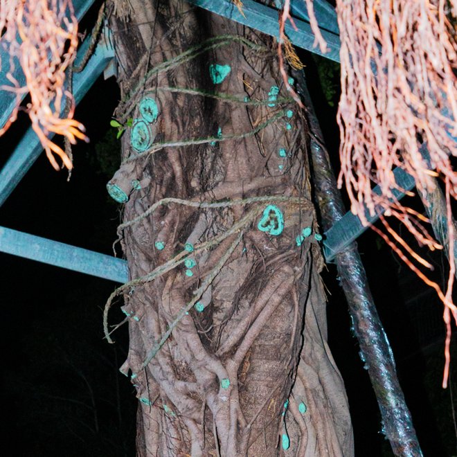 pic_019_结果.jpg pic_019_结果.jpg