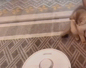 pic_003.gif