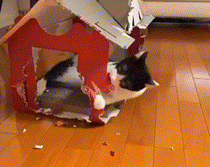 pic_015.gif