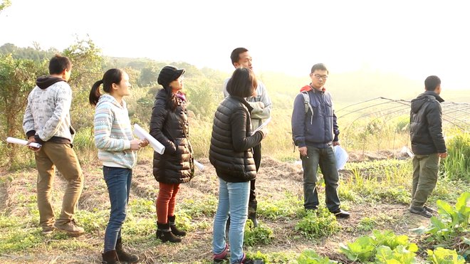 pic_012_结果.jpg pic_012_结果.jpg