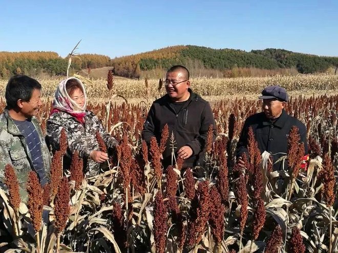 pic_003_结果.jpg pic_003_结果.jpg