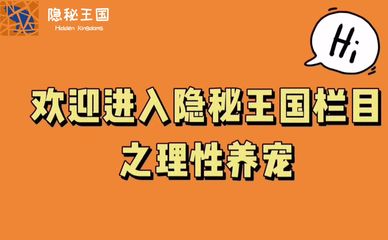 理性养宠街访短视频02