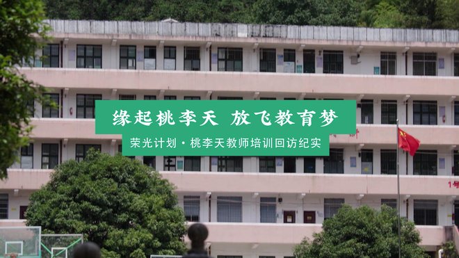 #荣光计划 桃李天教师培训回访