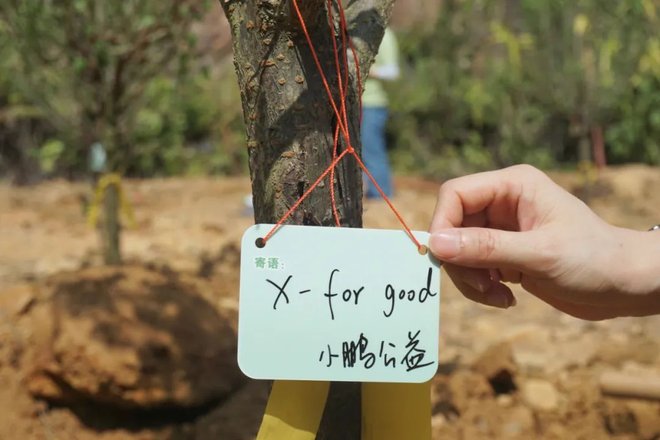 0(5)_zrgy_660.jpg 0(5)_zrgy_660.jpg