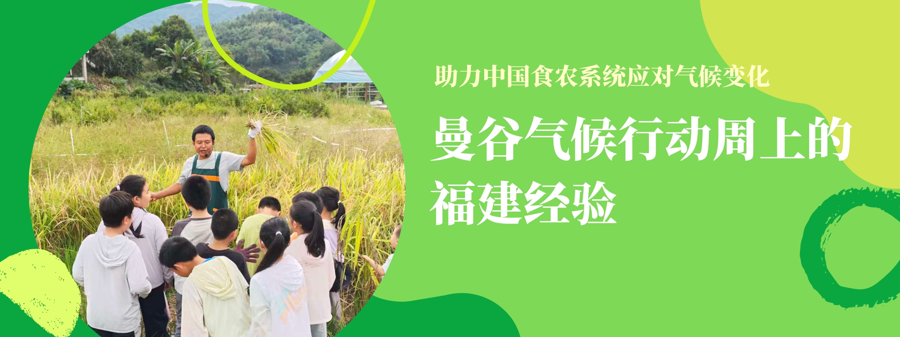 气候农食项目｜在福建，他把 9 种水稻种进同一块田